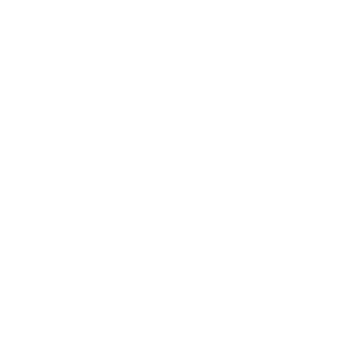 Our Vision Our Vision